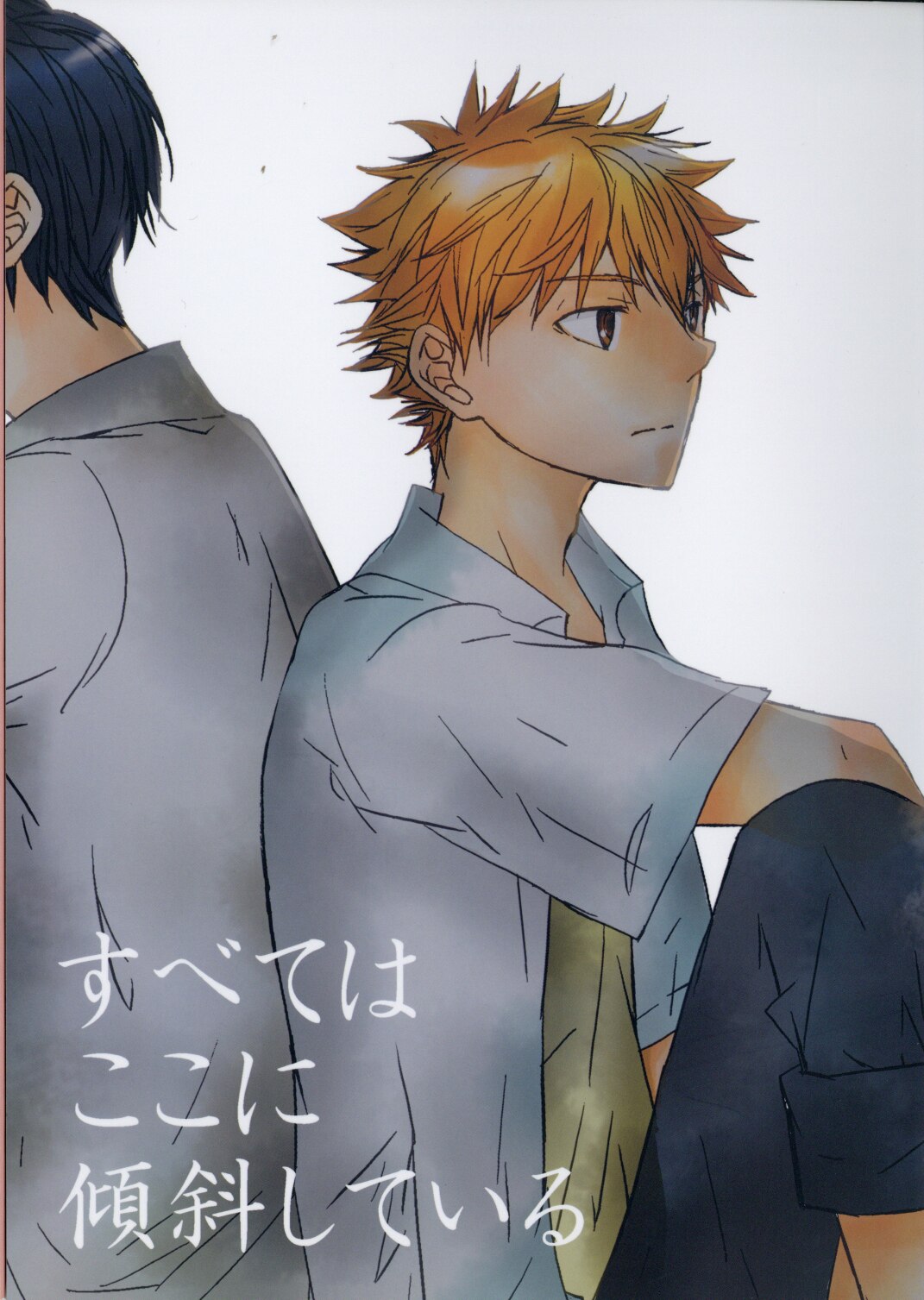 ハイキュー 同人誌 新尾ビノ 宅送