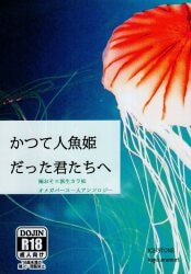 ICE-STONE