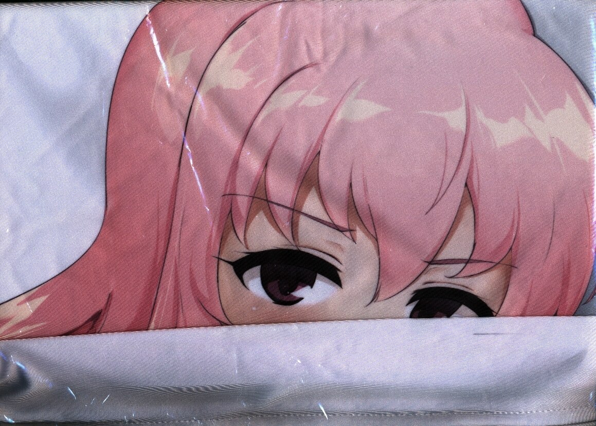 瓢屋 もみお ルイズ抱き枕カバー まんだらけ Mandarake