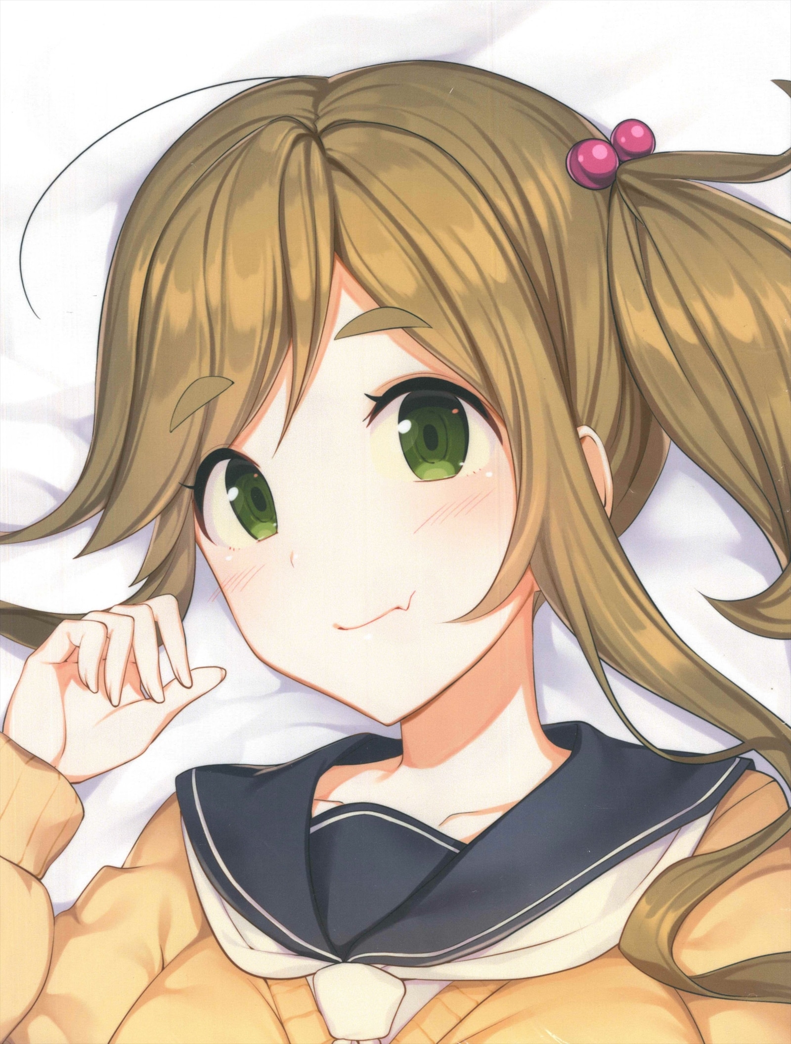 Z M Pillows イコモチ ゆるキャン 犬山あおい 抱き枕カバー まんだらけ Mandarake