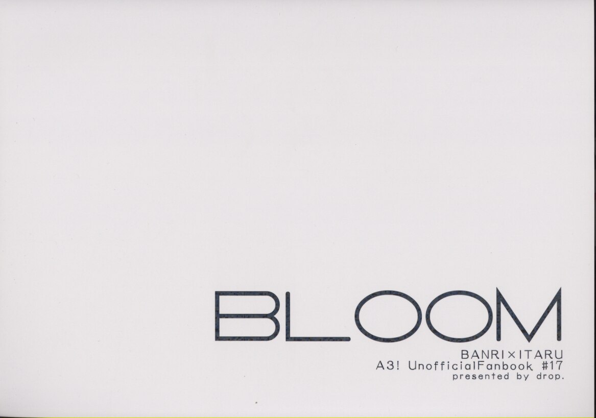 Drop ちやん Bloom イラスト集 A3 まんだらけ Mandarake
