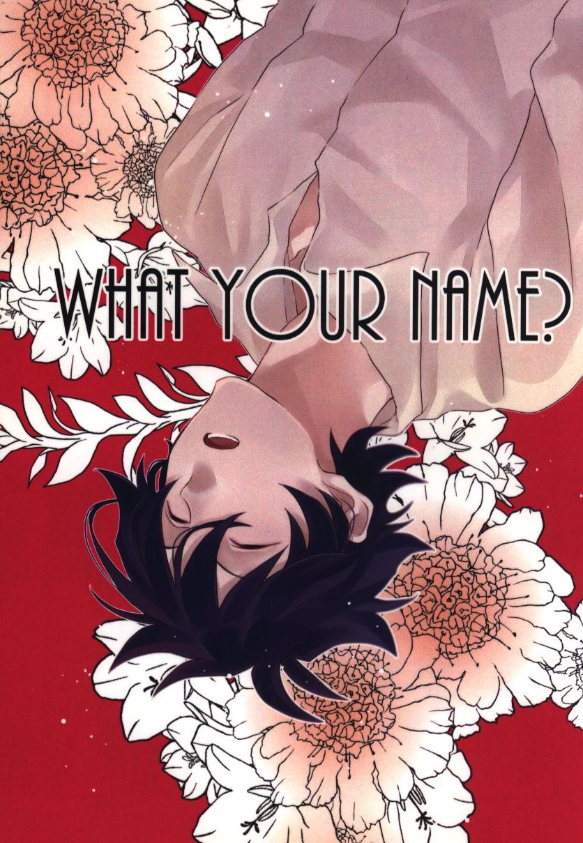 わっほい 中田 What Your Name まんだらけ Mandarake