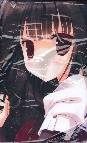 Active Mover 有河サトル オリジナル Comic1 7 黒髪ロングちゃん抱き枕カバー まんだらけ Mandarake