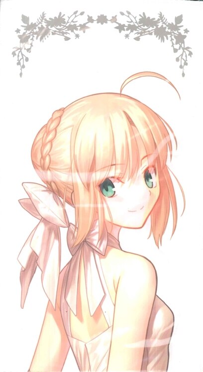 Type Moon 武内崇 Fate Stay Night 月姫 Type Moon Fes マフラータオル セイバー アルク まんだらけ Mandarake