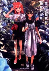 まんだらけ通販 同人 Vividcolor まんだらけ通販 同人 Vividcolor