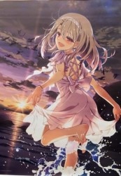 Mandarake Fate Grand Order Premium Tapestry