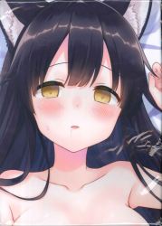 まんだらけ通販 倉澤もこ まんだらけ通販 倉澤もこ
