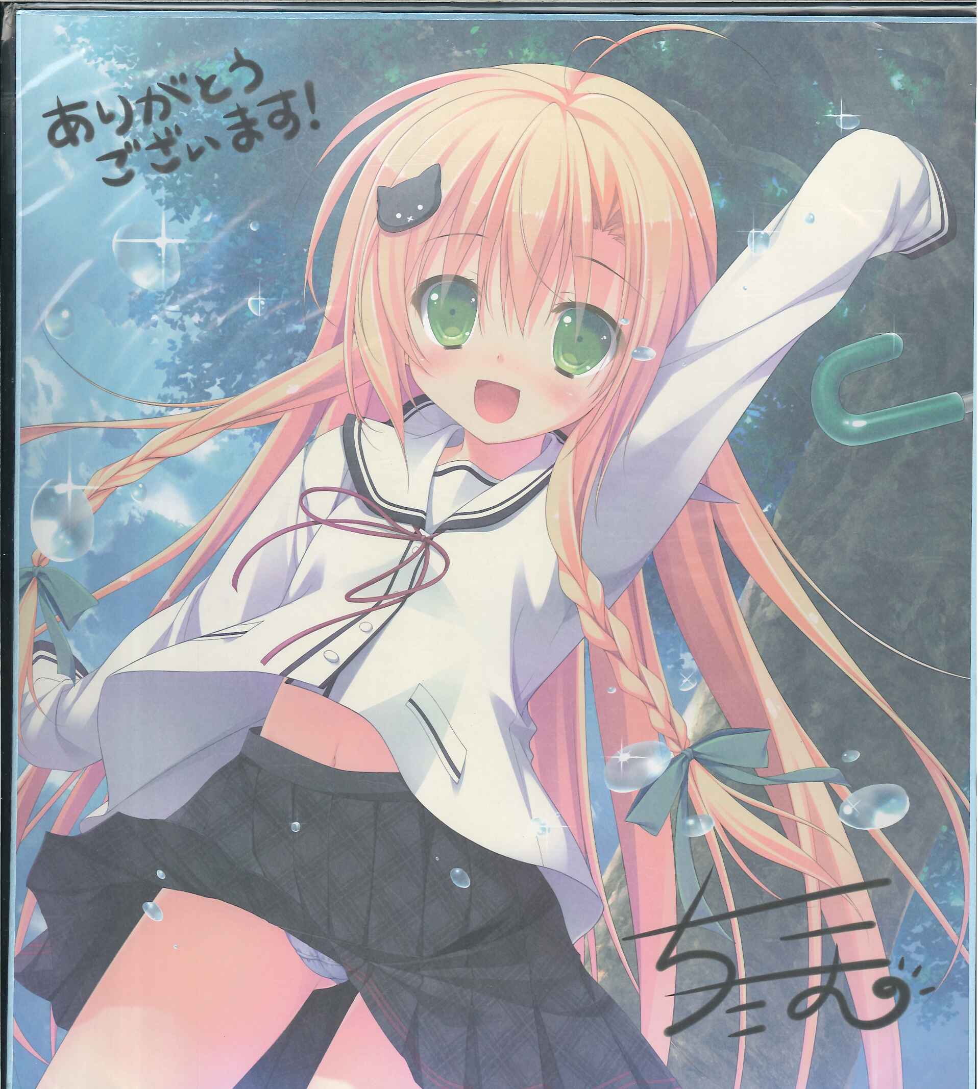 Parasol 晴のちきっと菜の花びより 予約特典 綾崎菜乃花複製色紙 まんだらけ Mandarake