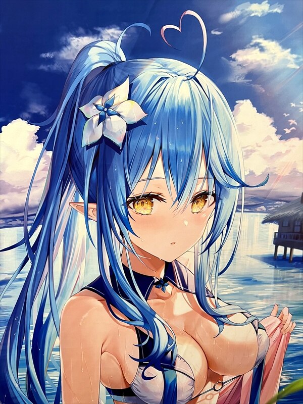 夏コミ C106 リン ☆ ユウ 雪花ラミィちゃん等身大タペストリー 雪花ラミィ リン☆ユウ 等身大タペストリー - メルカリ