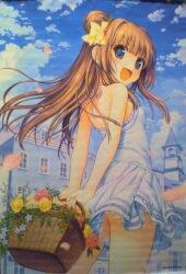 まんだらけ通販 大図書館の羊飼い 放課後しっぽデイズ まんだらけ通販 大図書館の羊飼い 放課後しっぽデイズ