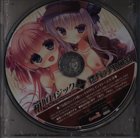 Skyfish 箱庭ロジック 予約特典 裸パッチrom まんだらけ Mandarake
