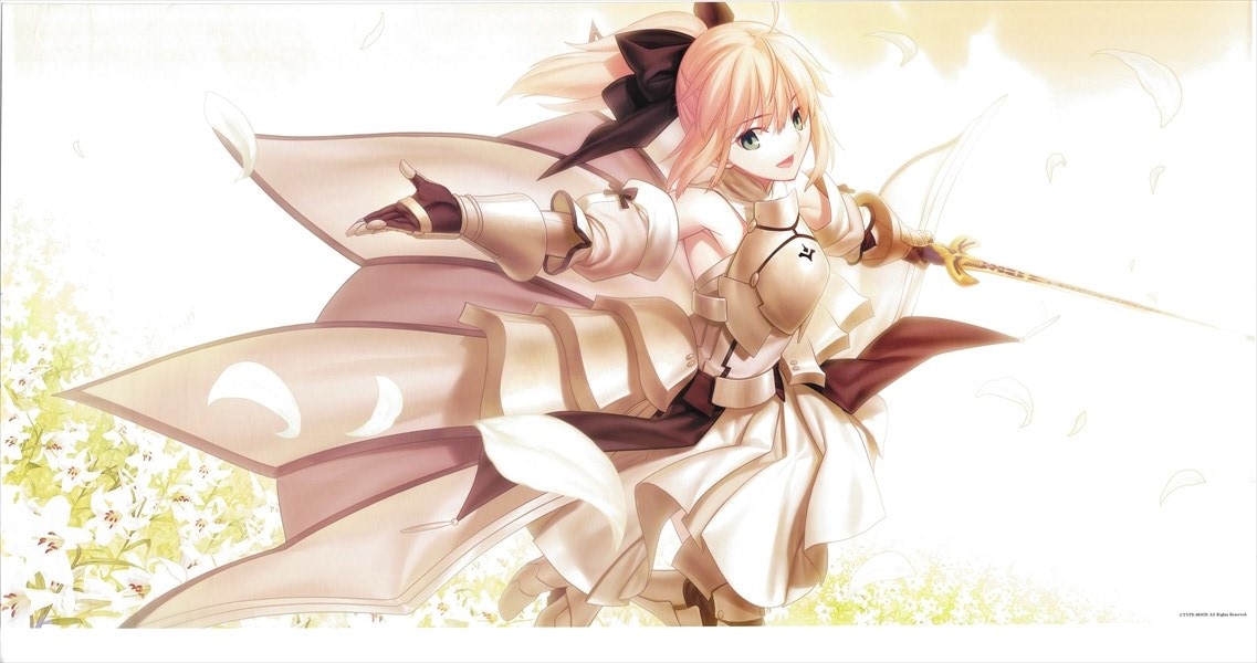 Type Moon 武内崇 Fate Complere Material セイバーリリィポスター まんだらけ Mandarake