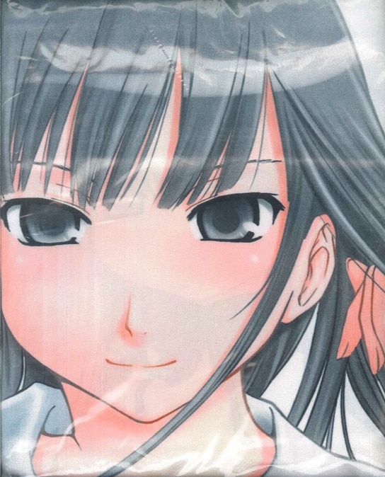 Asgo 暫時 ローゼンメイデン キミキス 水銀燈 二見瑛理子抱き枕カバー まんだらけ Mandarake