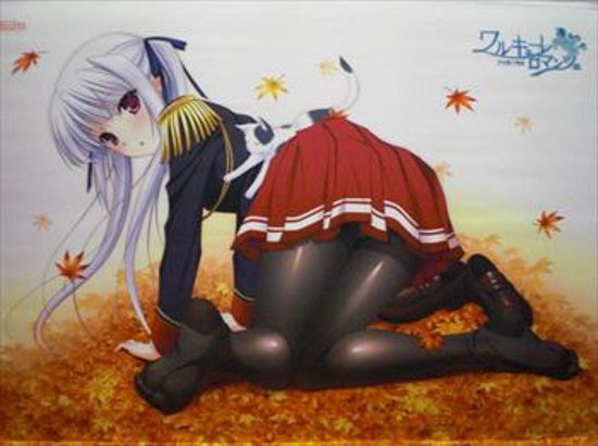 Ricotta こもりけい ワルキューレロマンツェ リサ エオストレb2タペストリー まんだらけ Mandarake