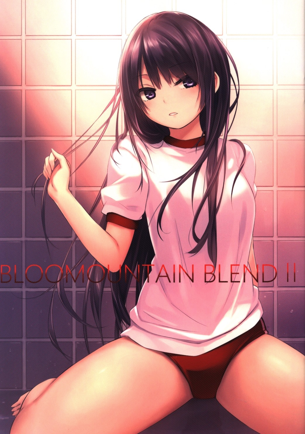 ロイヤルマウンテン 珈琲貴族 Bloomountain Blend Mandarake 在线商店