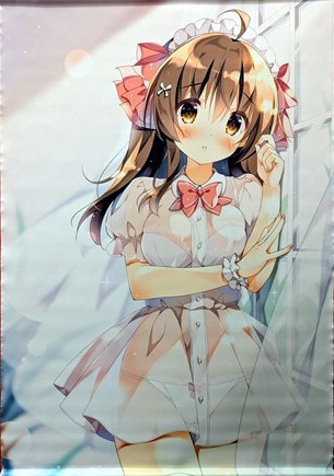 メーカー直売 - 人気ランキング ぱんのみみ (ぱん) 「オリジナル」 ここあWスエードB2 タペストリー