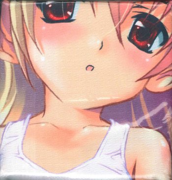 工画堂 駒都えーじ エリンシエ ヤースロップ抱き枕カバー まんだらけ Mandarake 工画堂 駒都えーじ エリンシエ ヤースロップ抱き枕カバー まんだらけ Mandarake