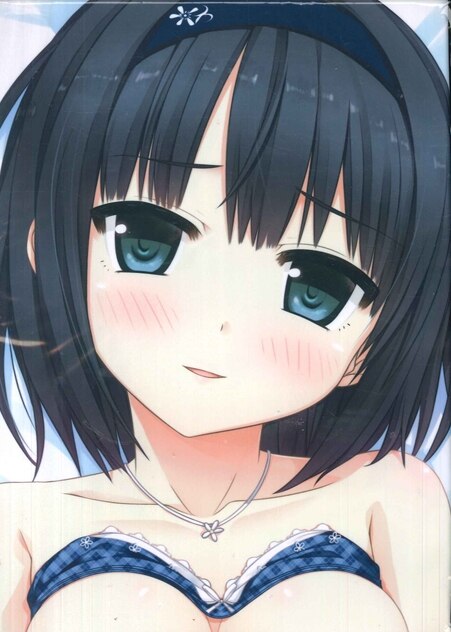 正規品 Lose 縮んだありす 抱き枕カバー ものべの ライクトロン cura ...