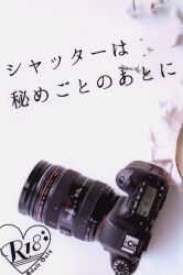 あまやどり