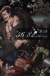 One Piece Doujinshi - Shed Crocodiles Tears Re-Recording