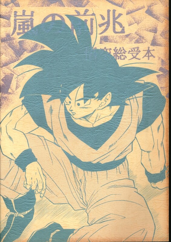 Dragon姉妹 龍みねあ 龍まーにゃ 嵐の前兆 まんだらけ Mandarake