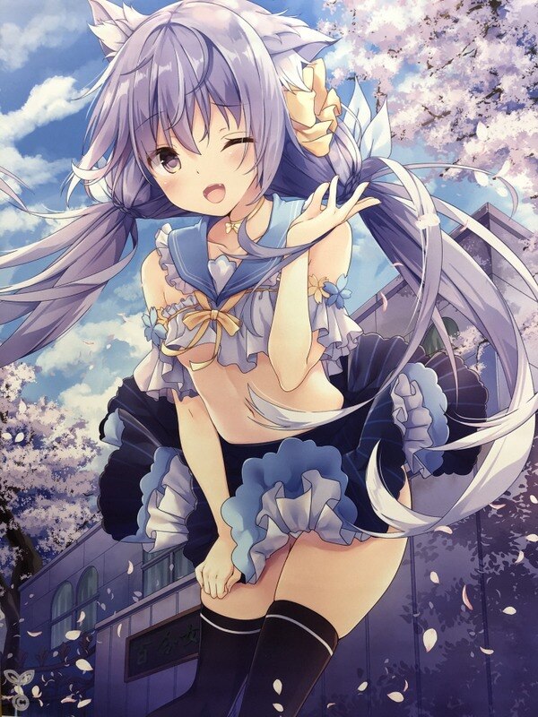 creation secretariat (kinokomushi) sunshine creation 2020spring