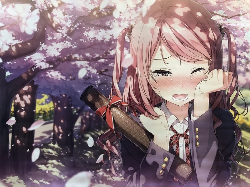 カントク B2タペストリー 桜時雨 軸中心派 | praksislaering.dk