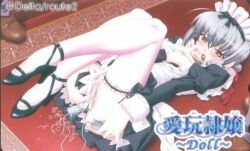 愛玩隷嬢 -Doll-