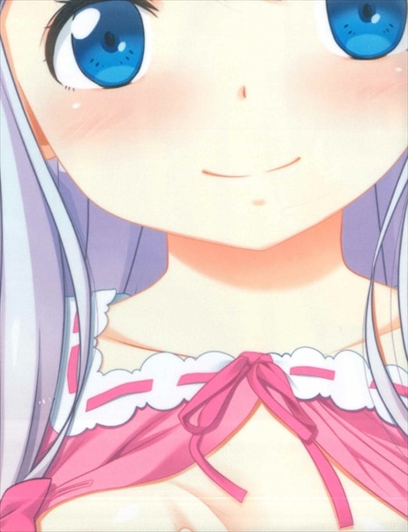 マークス 平木直利 ひっきーいもうとちゃん抱き枕カバー 健康診断書付 まんだらけ Mandarake