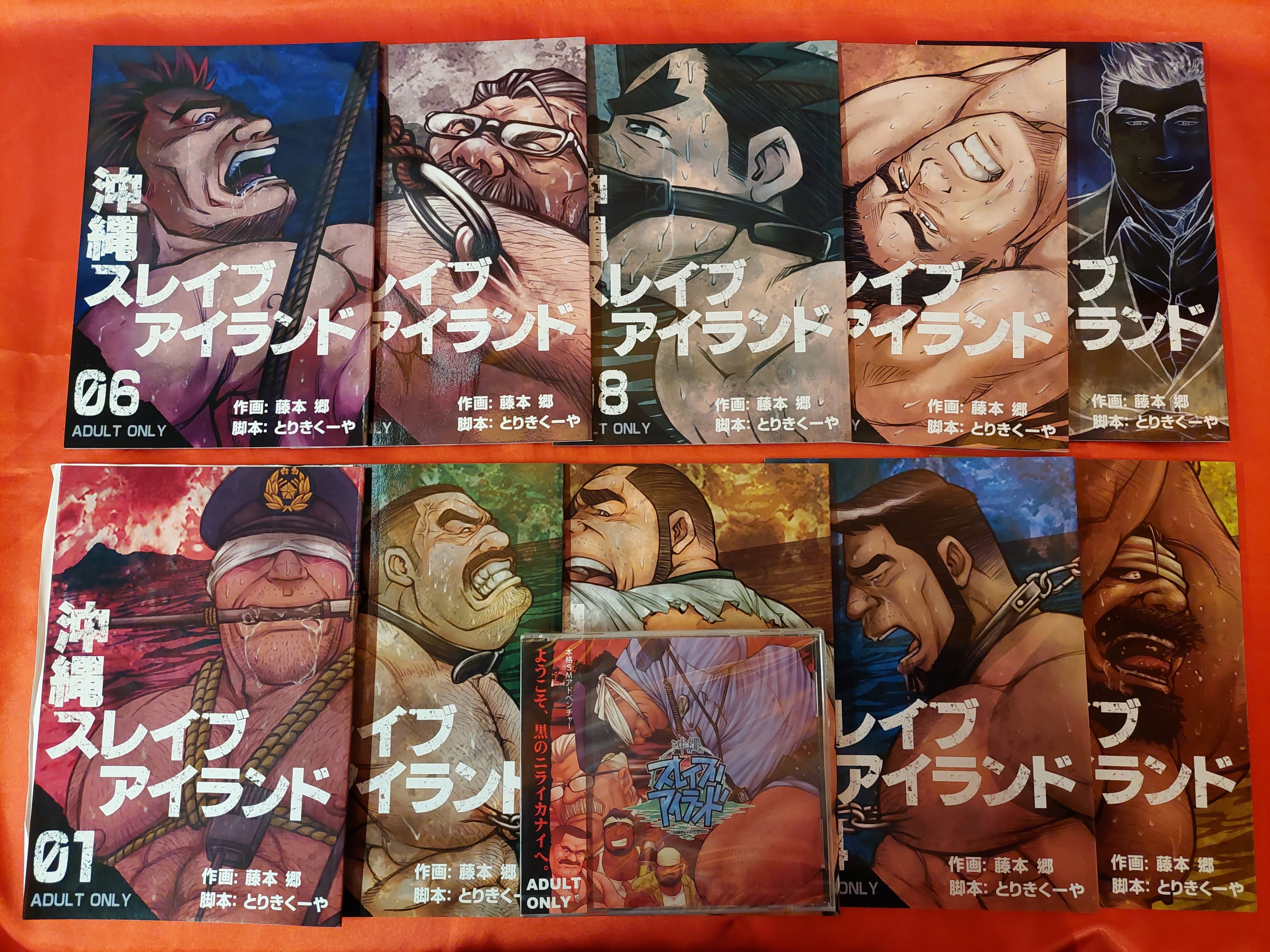 BIGGYM (Go Fujimoto  Trikikuya) Okinawa Slave Island All 10 volumes + PC  game all set | Mandarake Online Shop