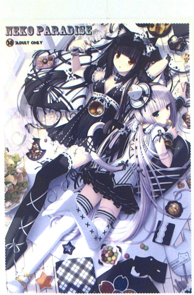 ネコぱら さより先生描き下ろし アクリルパネル付 B2ポスター (B