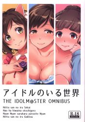 MEGABOX (Meganei) Idolmaster Cinderella Girls Idol are the world