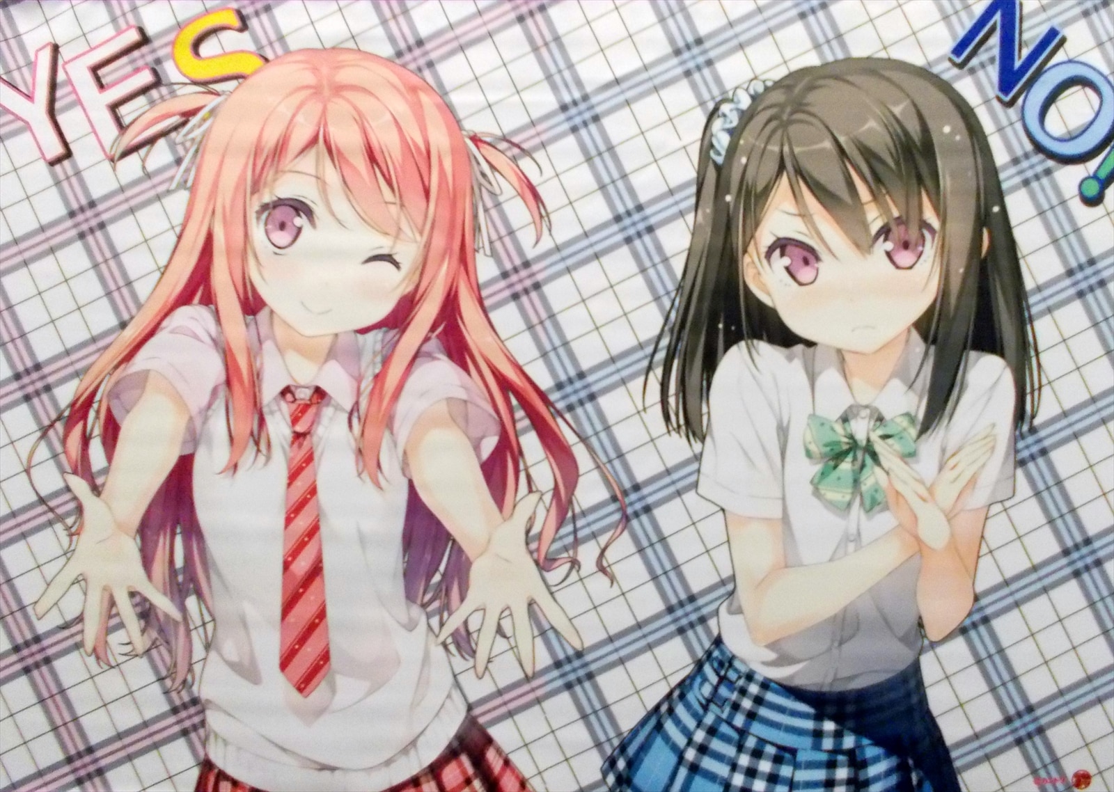 軸中心派 カントク Yes No B2タペストリー ロゴ赤 ロゴ赤 まんだらけ Mandarake